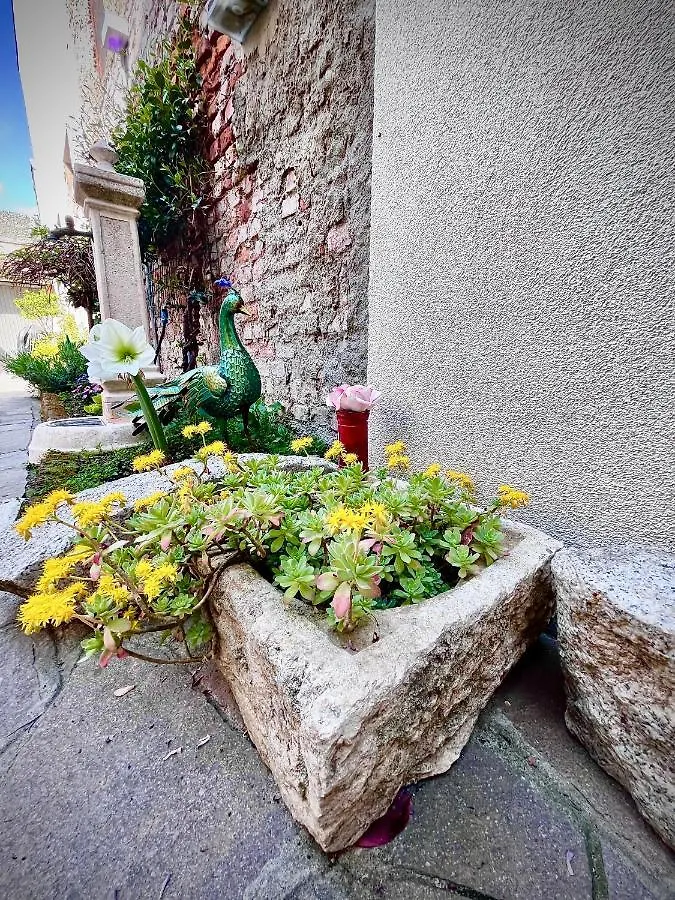 B&B Corte Sul Naviglio Cernusco Sul Naviglio Italy
