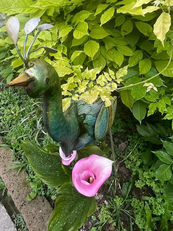 B&B Corte Sul Naviglio Cernusco Sul Naviglio Italy